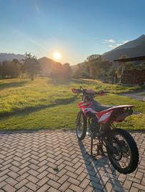Beta rr 50