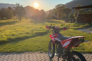 Beta rr 50