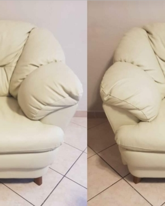 Coppia poltrone vera pelle