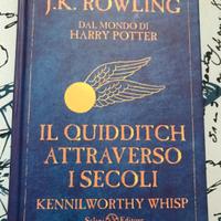 il quidditch attraverso i secoli