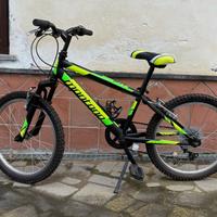 Mountain bike "Montana escape" 20"
