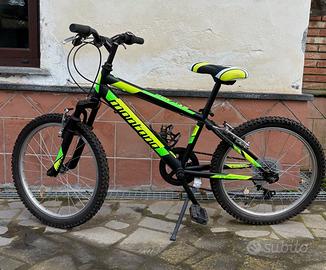 Mountain bike "Montana escape" 20"