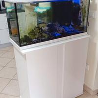 Acquario 100l  attivo