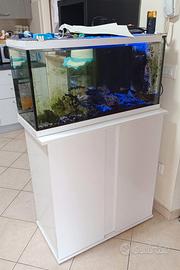 Acquario 100l  attivo