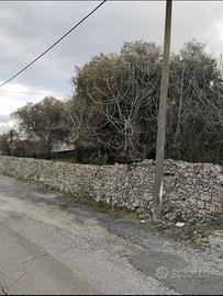 Terreno edificabile non lottizzato