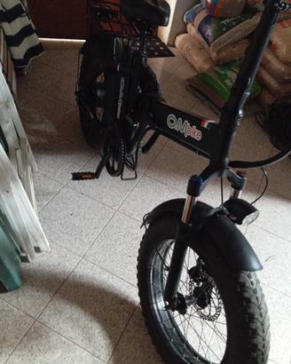 bici elettrica 