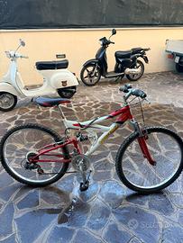 Bicicletta Vicini