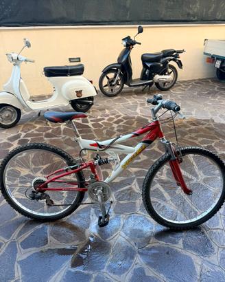 Bicicletta Vicini