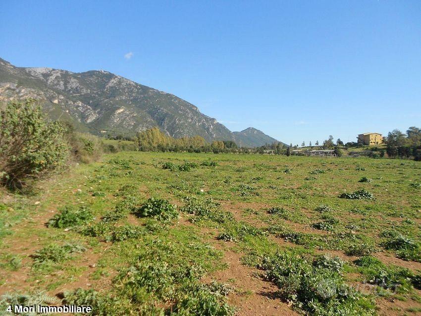 Terreno Loc. Funtana Marzu mq. 10000 - Vista 3