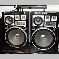 Rara coppia di diffusori Yamaha NS 9191