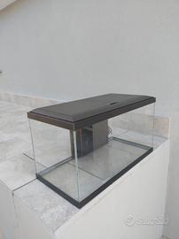 acquario