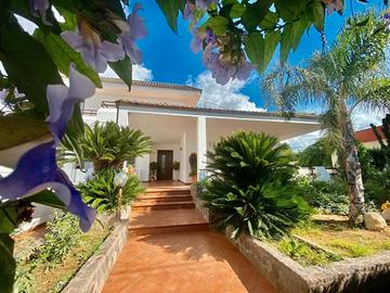 The Rosa's Luxury House