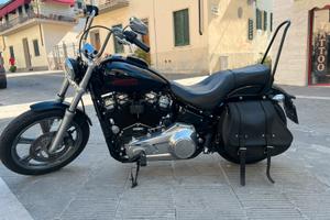 Softail standard 2023