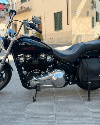 Softail standard 2023