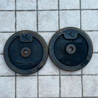 Dischi palestra 10 kg