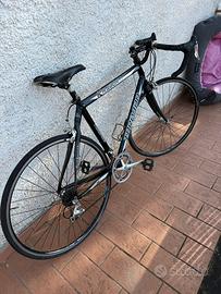 Bici da corsa Torpado Krabon T3000