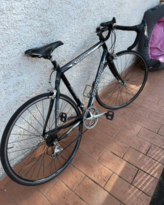 Bici da corsa Torpado Krabon T3000