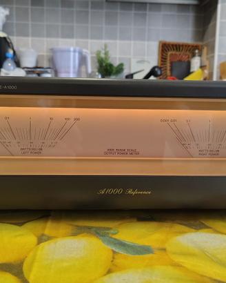 Technics amplificatore finale e equalizzatore