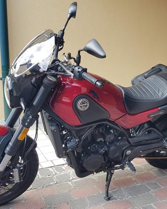 Benelli leoncino 500