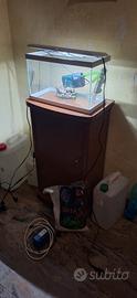acquario 