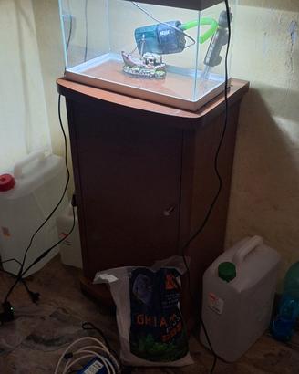 acquario 