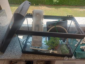 mini acquario 