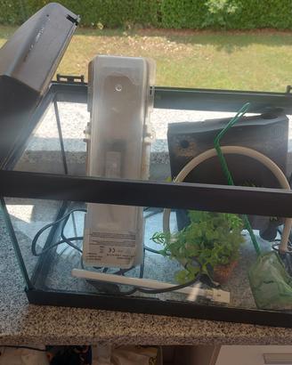 mini acquario 