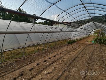 Vendi serre e tubi per irrigazione