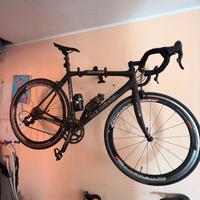 Boci de rosa king 3 carbonio
