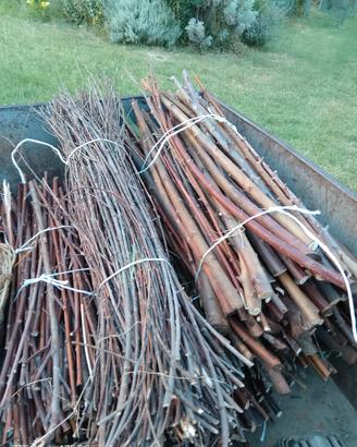 legna biologica accendi fuoco per barbecue 