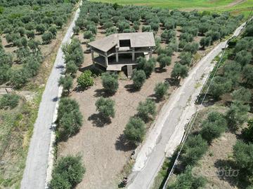 Terreno con uliveto e struttura rustica