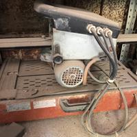 Tagliapistrelle raimondi