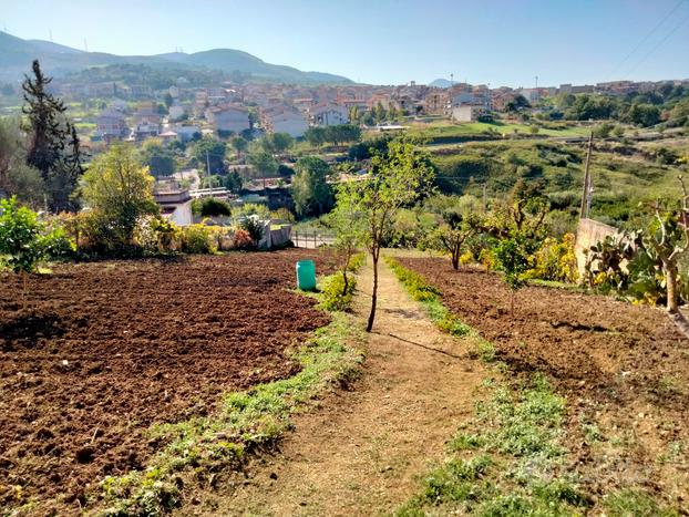 Terreno bolognetta