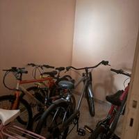 Biciclette Mountain Bike e da passeggio