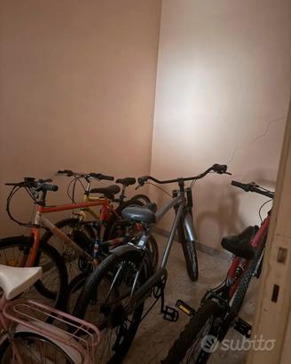 Biciclette Mountain Bike e da passeggio