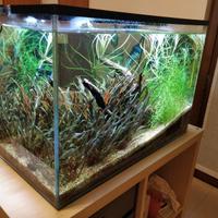 Acquario completo da 65 litri