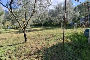 Terreno agricolo a palombara