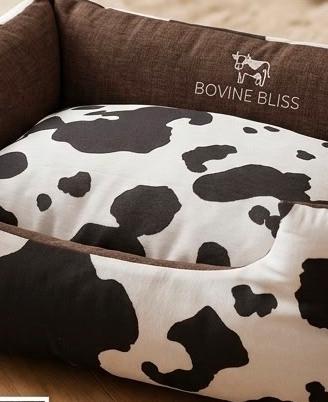 Sofa cani