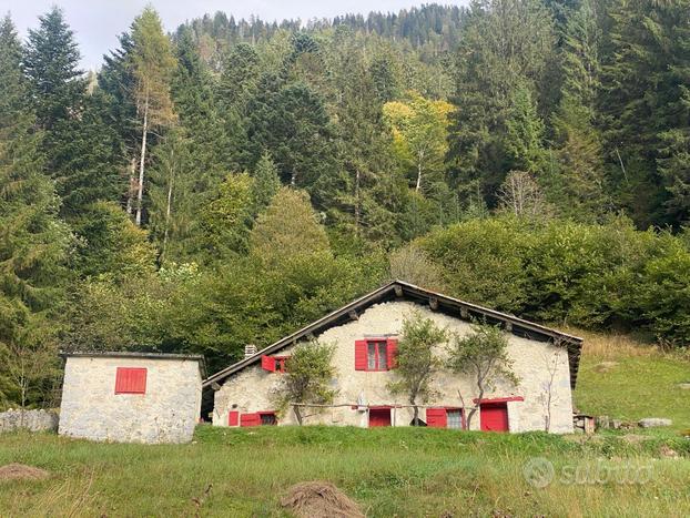 Rustico con terreno Val Malene