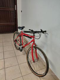 bici del tonco colnago