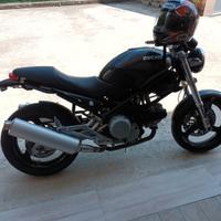 ducati monster
