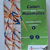 Colori della matematica 1. Edizione verde. Algebra