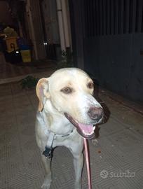 Biagio