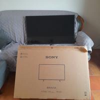 televisore 43 pollici della Sony