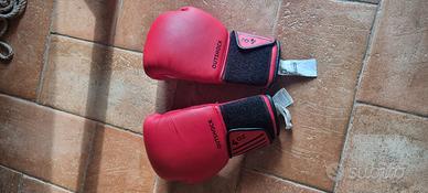 Guantoni da sacco / boxe