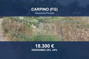 Immobile in asta di 10848 m² a Carpino