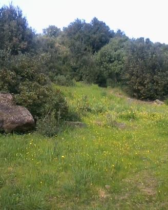 Terreno a Istelotte