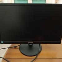 Monitor 21 pollici