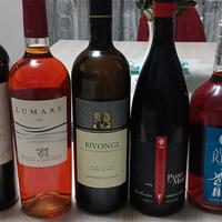 Lotto Misto 7 Bottiglie: Eccellenze del Sud Italia