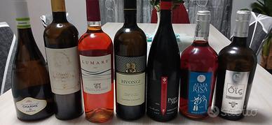 Lotto Misto 7 Bottiglie: Eccellenze del Sud Italia